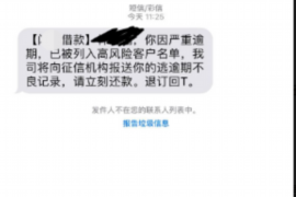 迪庆融资清欠服务